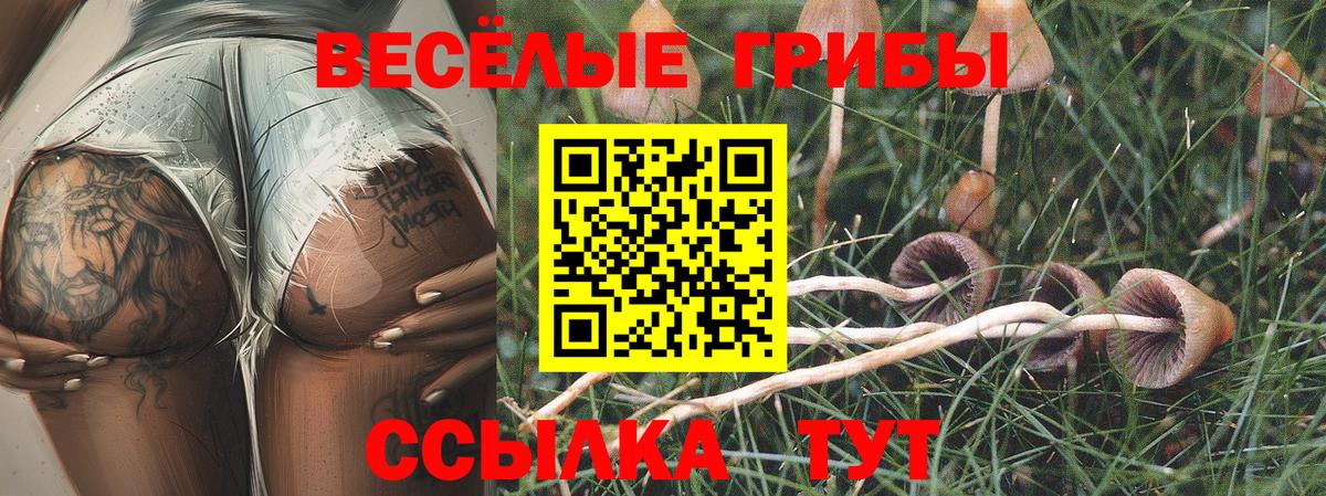 Волгодонск  Псилоцибиновые грибы Psilocybine cubensis  купить наркоту  Галлюциногенные грибы GOLDEN TEACHER  Вход с VPN 