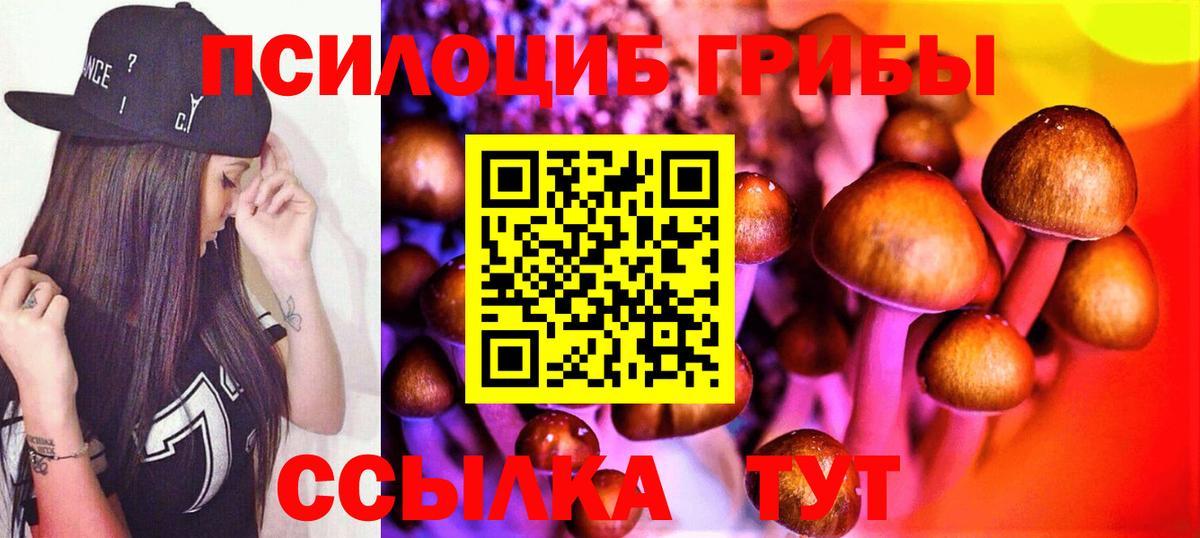 Псилоцибиновые грибы мухоморы Волгодонск
